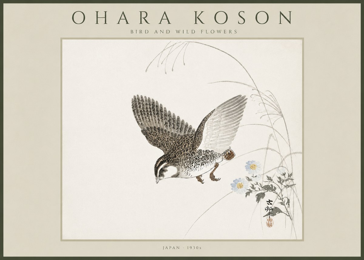 Ohara Koson Bird and Wild Flowers No4 - Póster