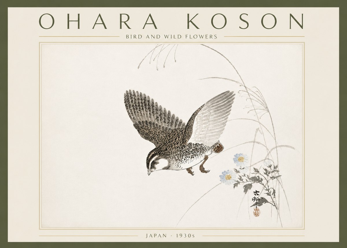 Ohara Koson Bird and Wild Flowers No6 - Póster