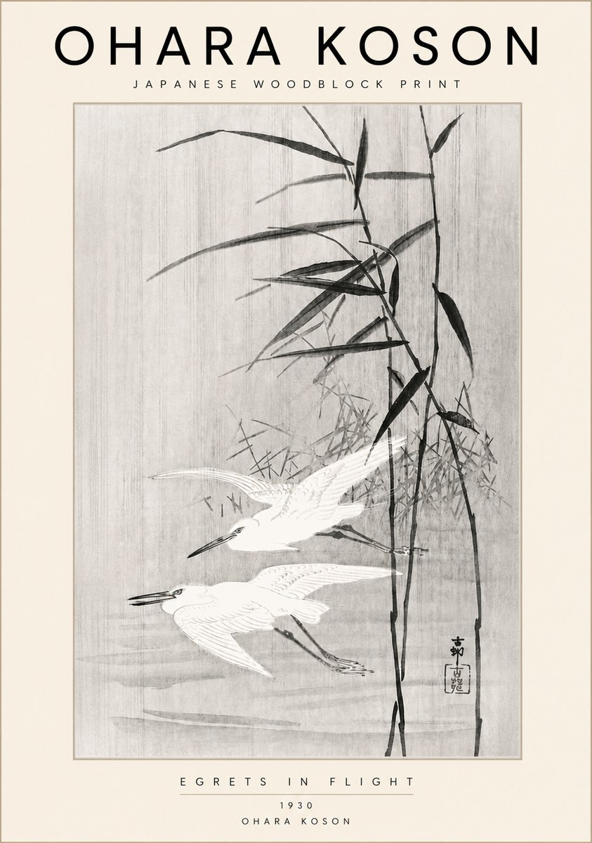 Ohara Koson Two Herons and Reeds No6 - Póster
