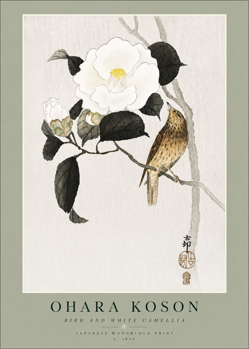 Ohara Koson Bird and White Camellia No4 - Póster