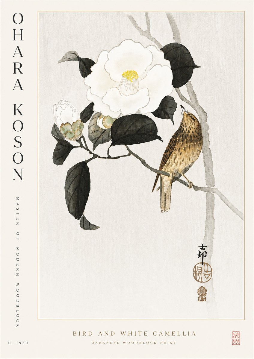Ohara Koson Bird and White Camellia No5 - Póster