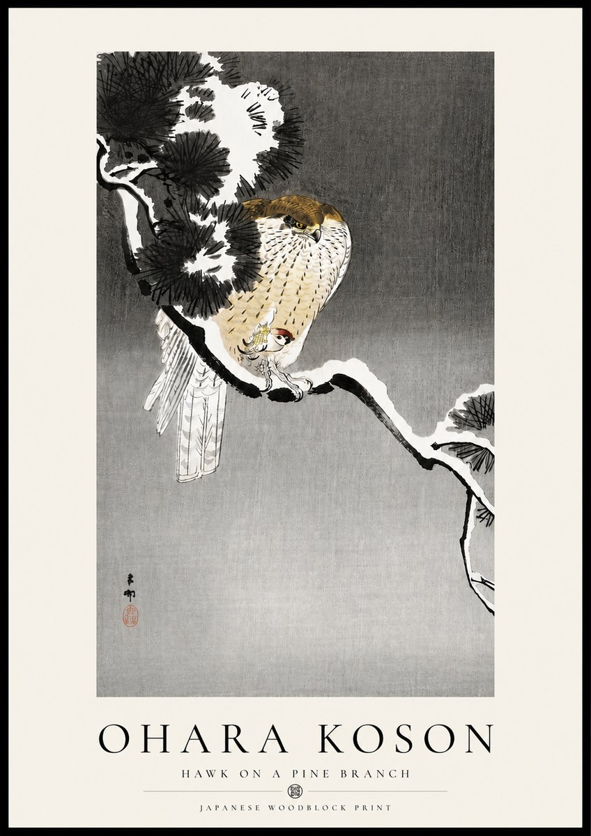 Ohara Koson Hawk on a Pine Branch No4 - Póster