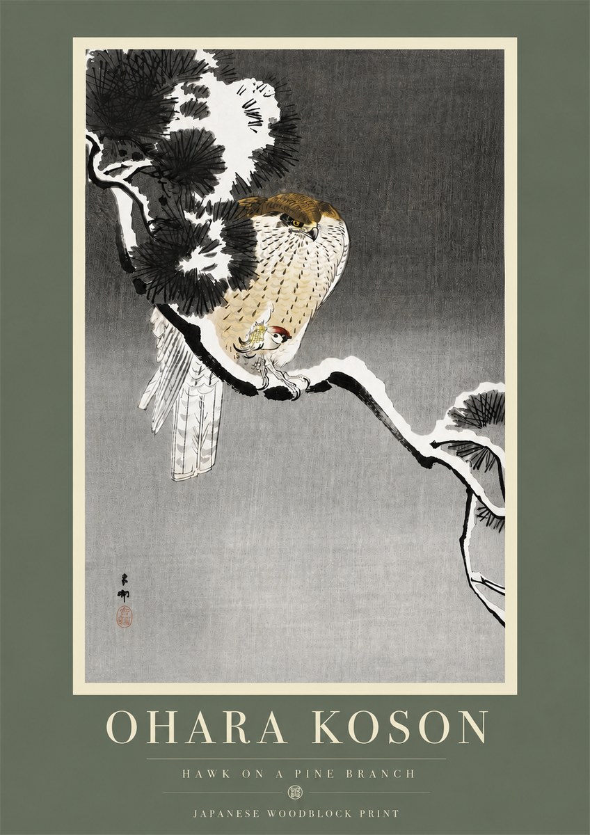 Ohara Koson Hawk on a Pine Branch No5 - Póster