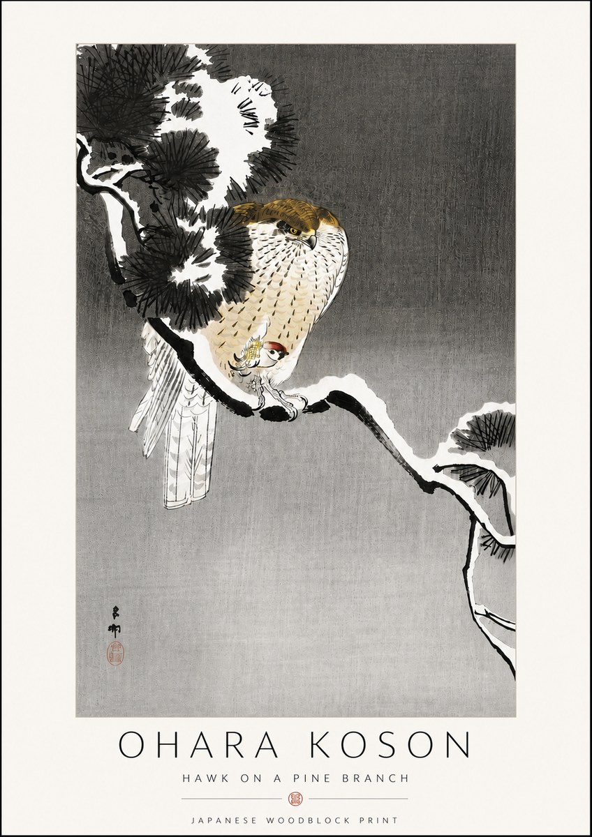 Ohara Koson Hawk on a Pine Branch No6 - Póster