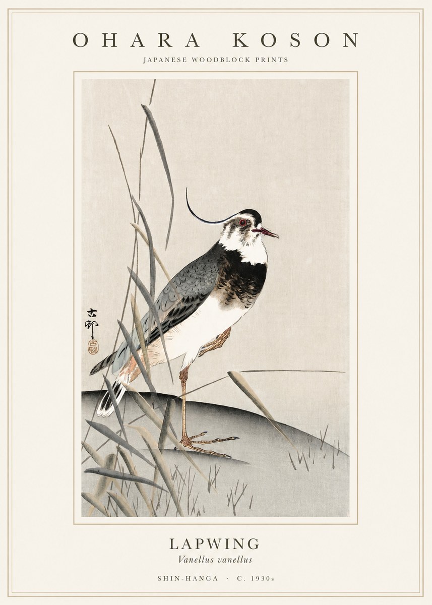 Ohara Koson Lapwing No1 - Póster