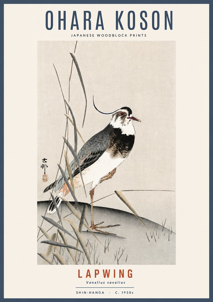 Ohara Koson Lapwing No2 - Póster