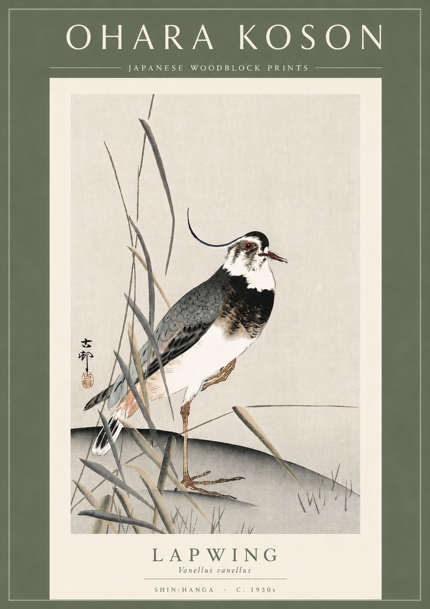 Ohara Koson Lapwing No3 - Póster