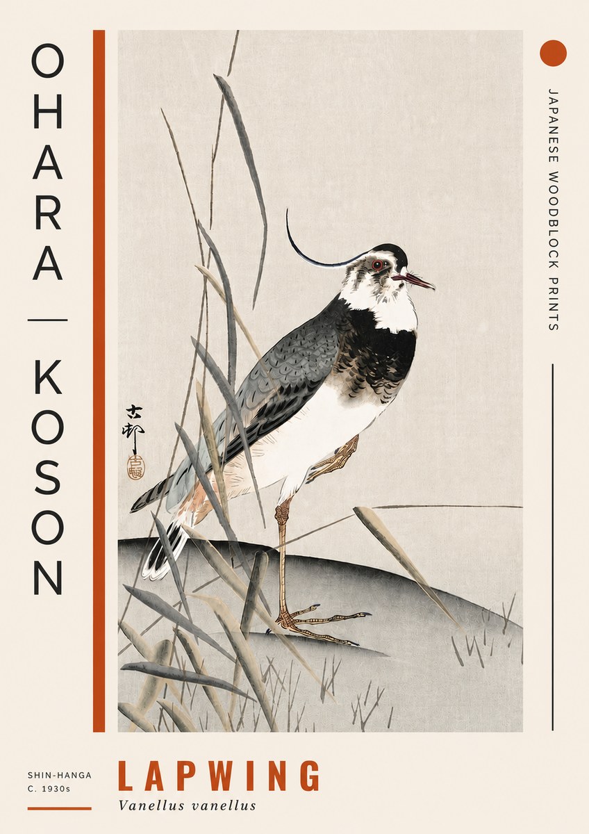 Ohara Koson Lapwing No4 - Póster