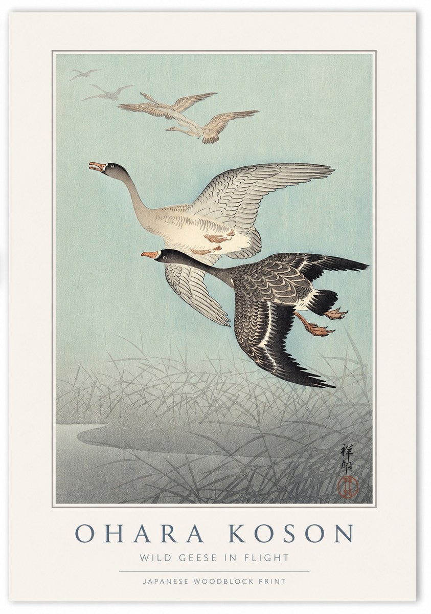 Ohara Koson Wild Geese in Flight II No1 - Póster