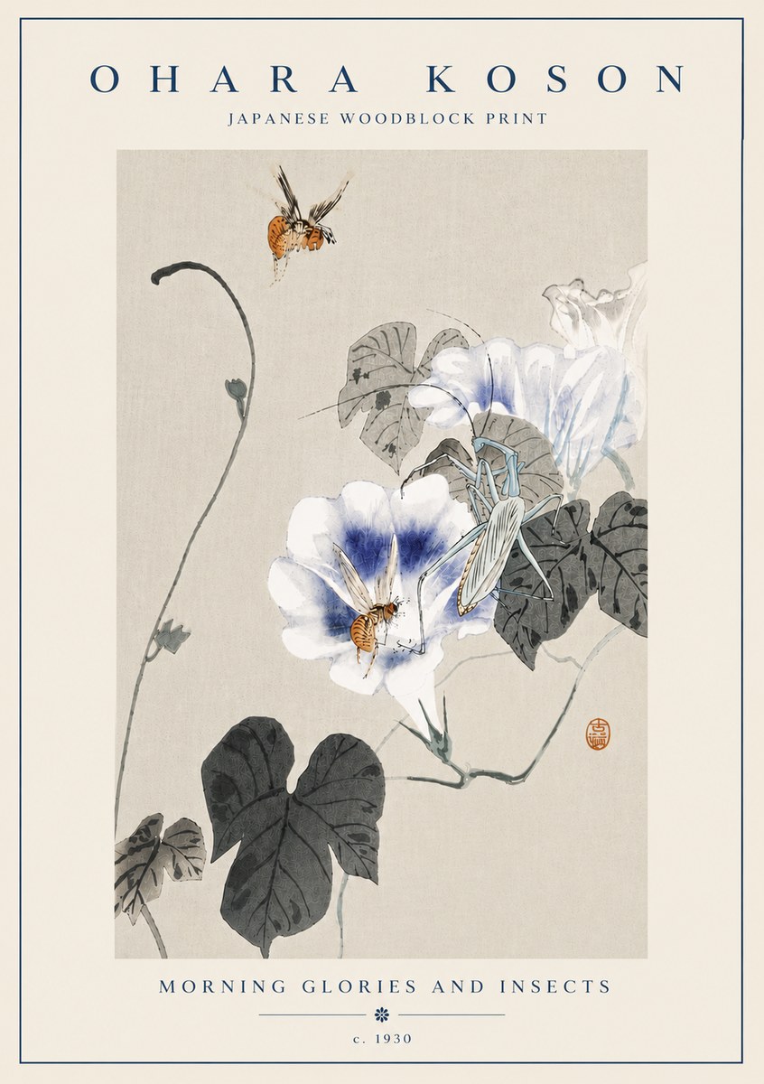 Ohara Koson Morning Glories and Insects No6 - Póster