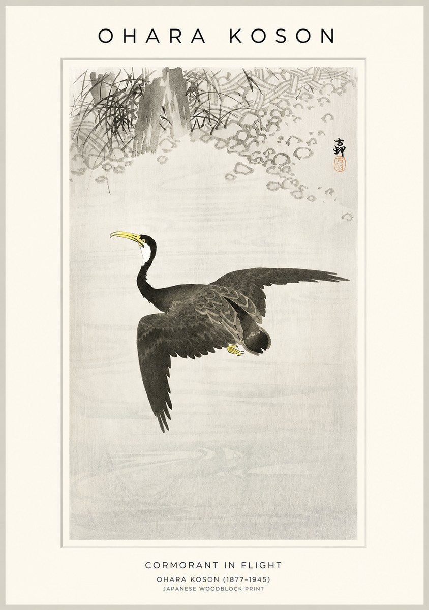 Ohara Koson Cormorant in Flight No1 - Póster