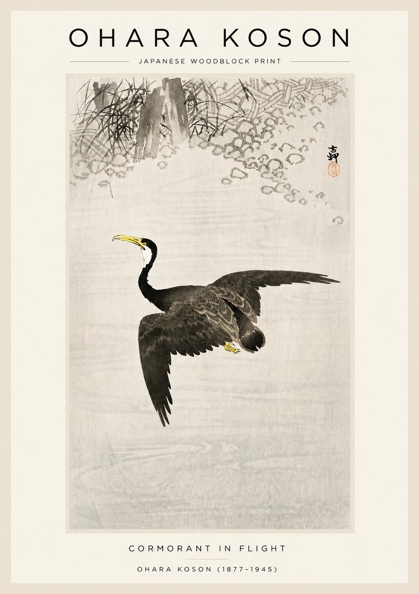 Ohara Koson Cormorant in Flight No3 - Póster