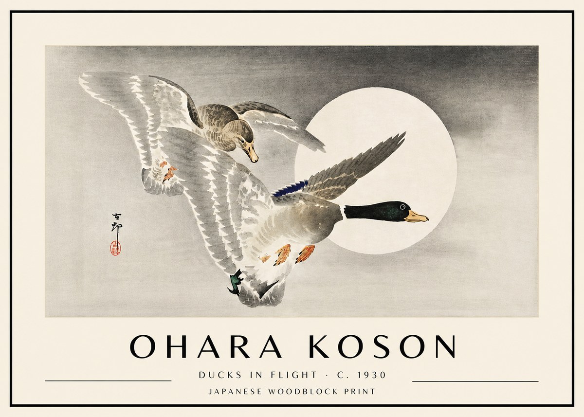 Ohara Koson Ducks in Flight No4 - Póster