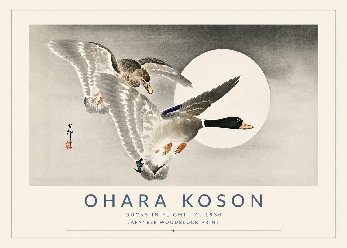 Ohara Koson Ducks in Flight No5 - Póster