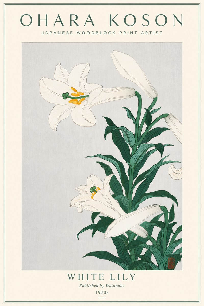 Ohara Koson White Lily No3 - Póster