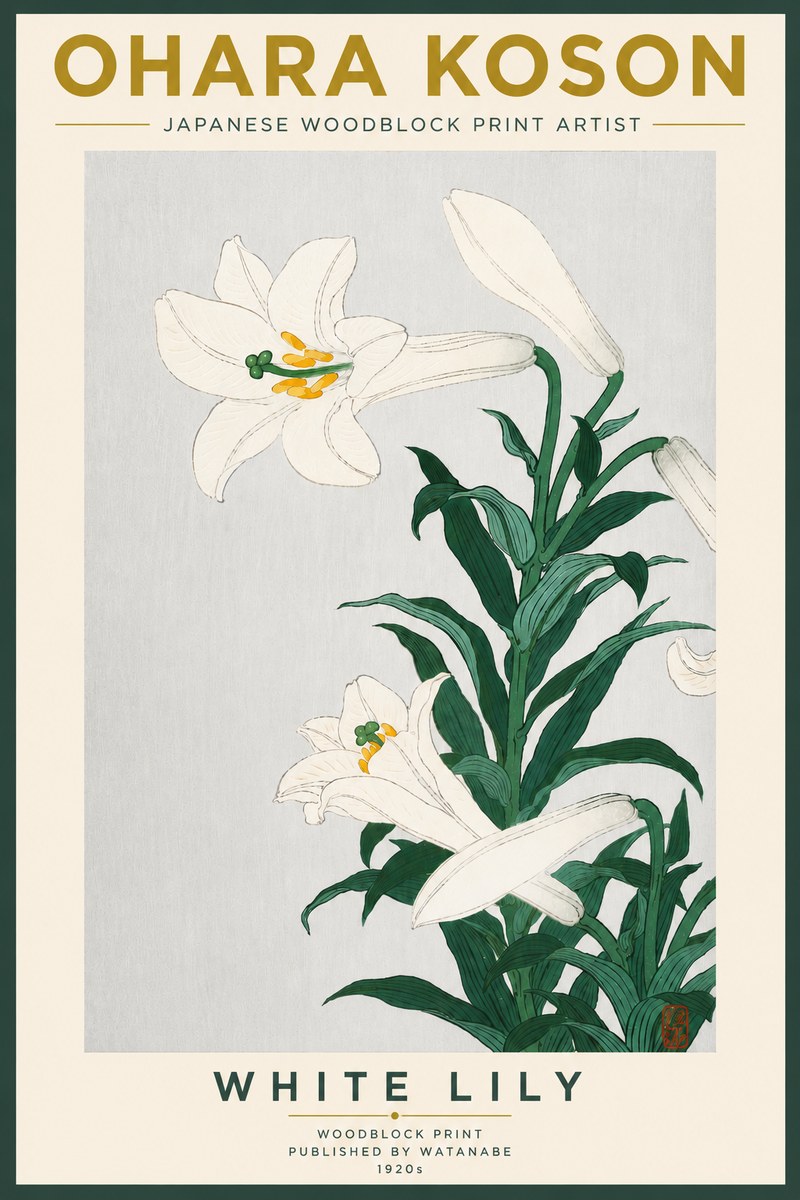 Ohara Koson White Lily No5 - Póster