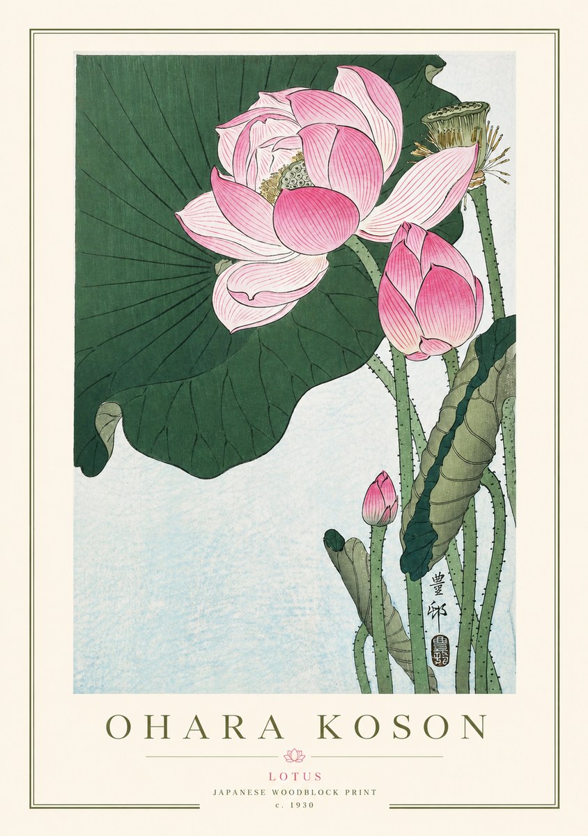 Ohara Koson Lotus II No3 - Póster