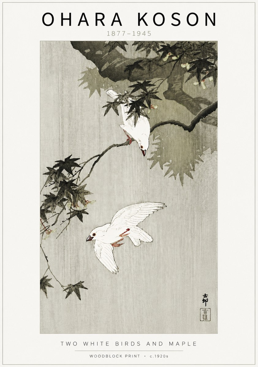 Ohara Koson Two White Birds and Maple No5 - Póster