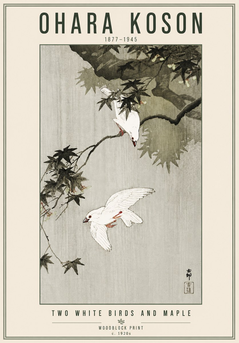 Ohara Koson Two White Birds and Maple No6 - Póster