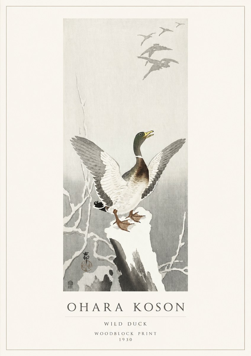 Ohara Koson Wild Duck No1 - Póster