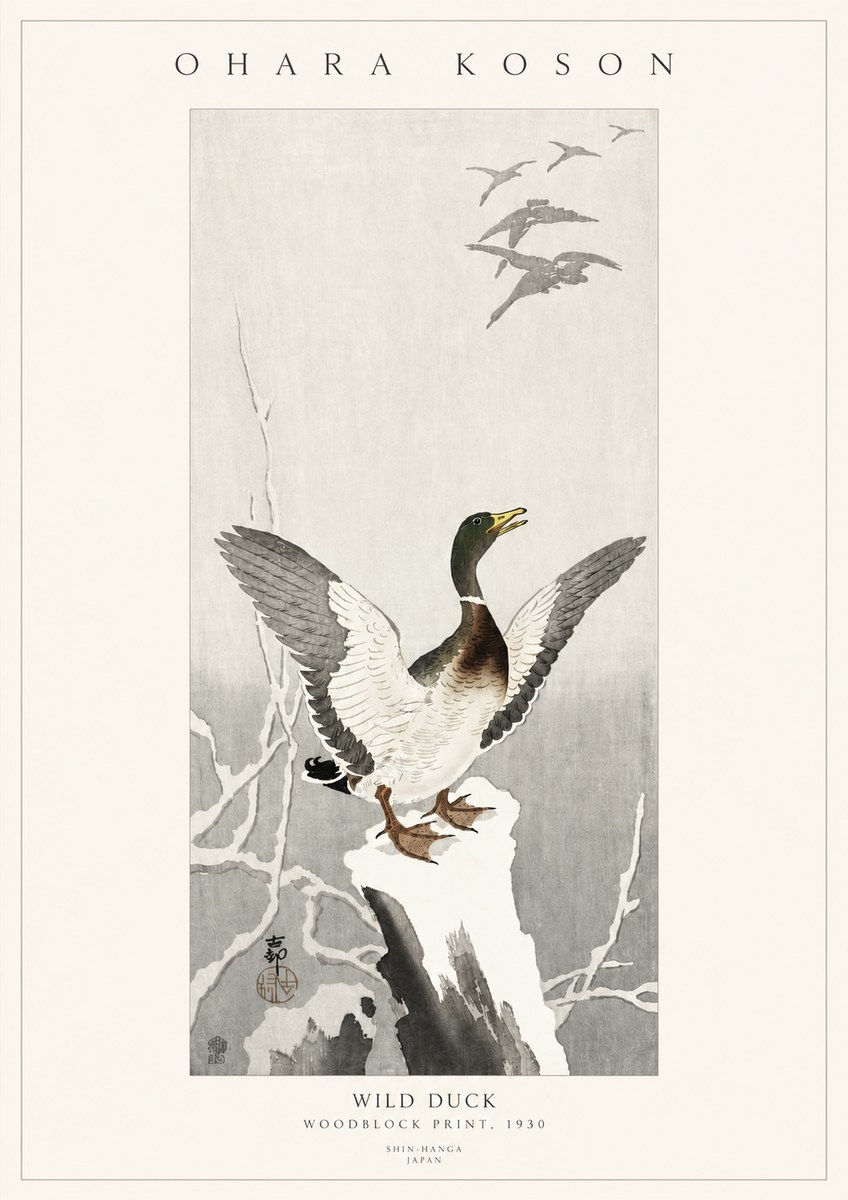 Ohara Koson Wild Duck No3 - Póster
