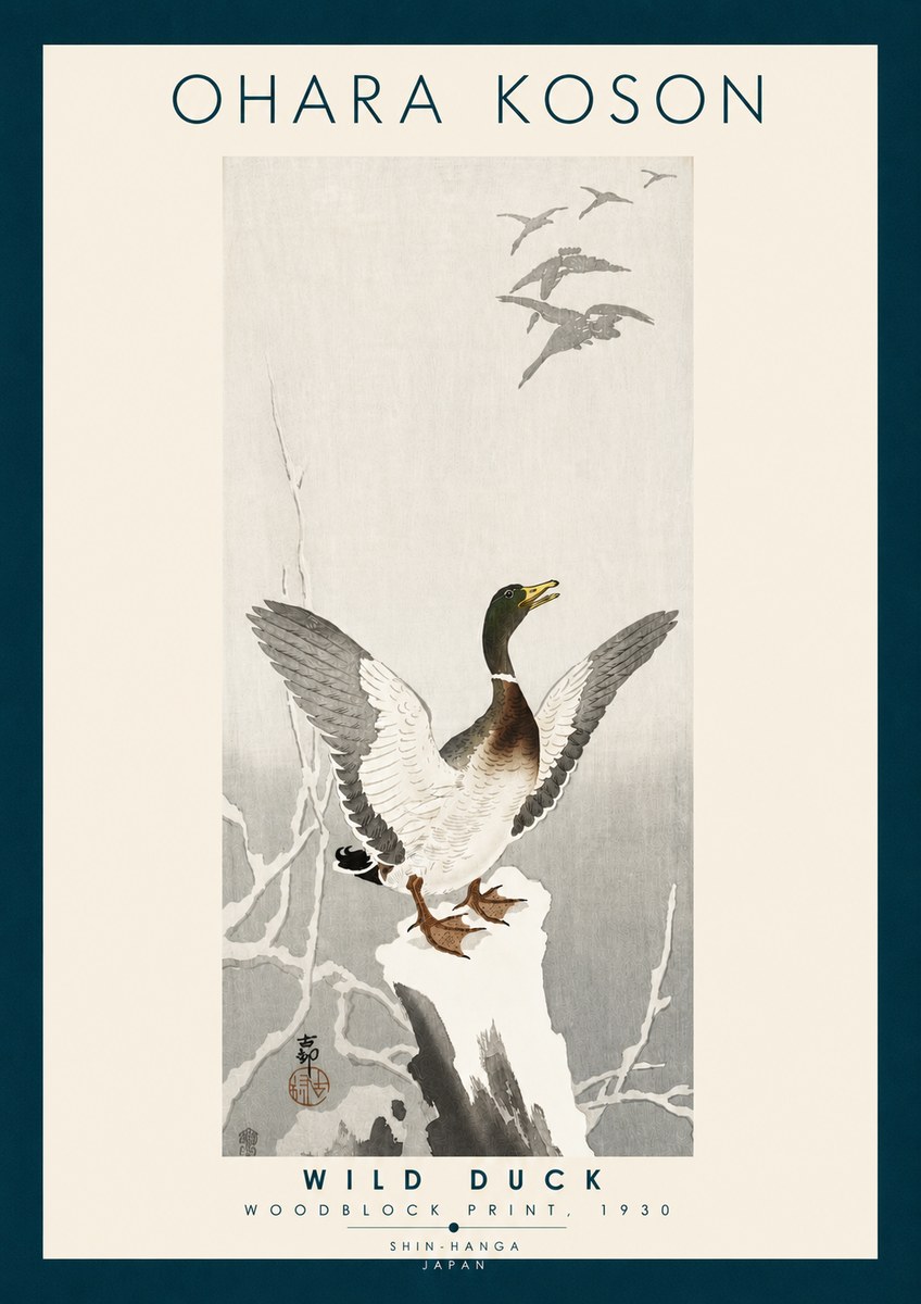 Ohara Koson Wild Duck No6 - Póster