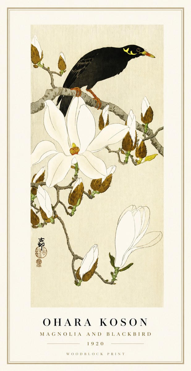 Ohara Koson Magnolia and Blackbird No1 - Póster