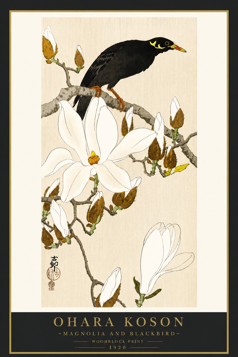 Ohara Koson Magnolia and Blackbird No4 - Póster