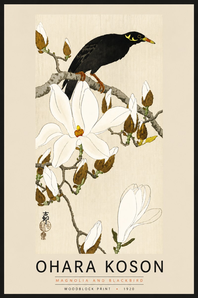 Ohara Koson Magnolia and Blackbird No6 - Póster
