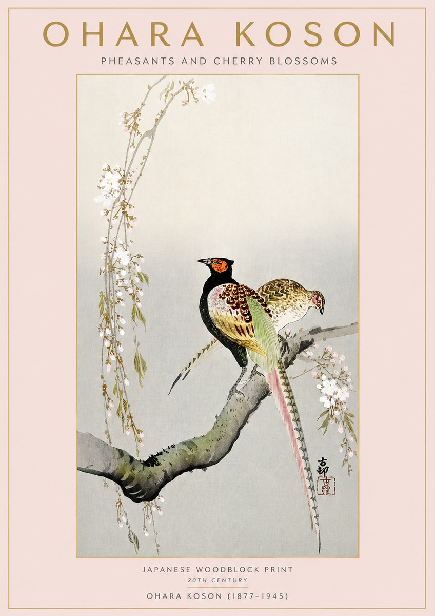 Ohara Koson Pheasants and Cherry Blossoms II No3 - Póster