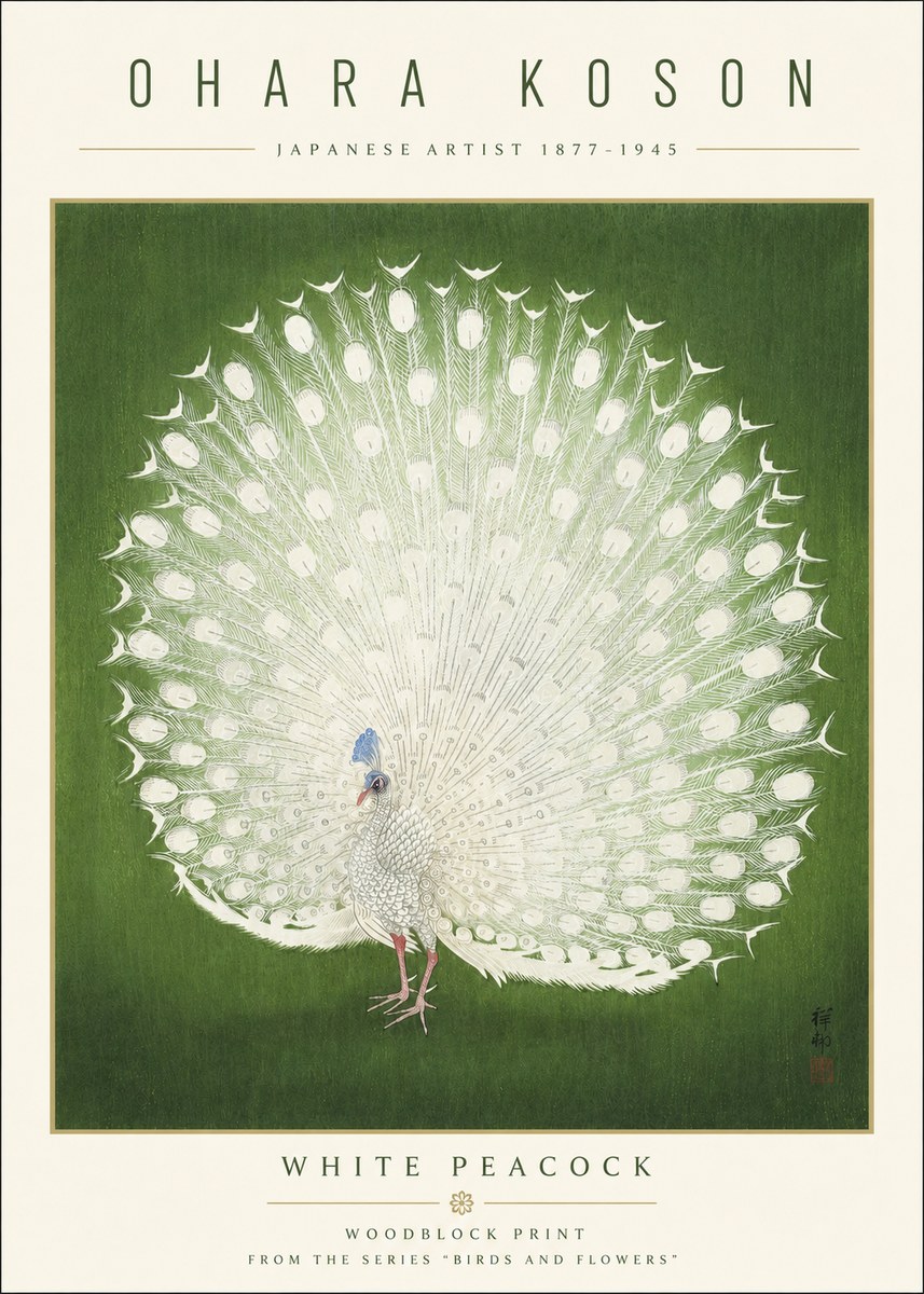 Ohara Koson White Peacock No3 - Póster