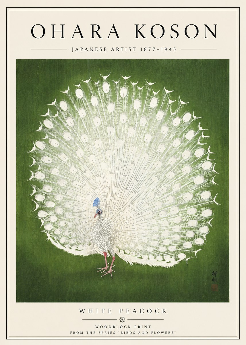 Ohara Koson White Peacock No5 - Póster