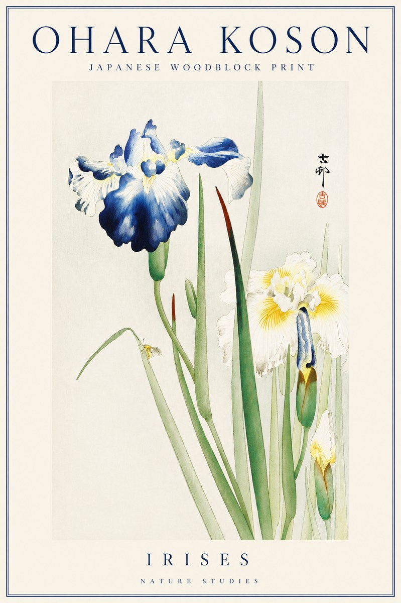 Ohara Koson Irises II No4 - Póster