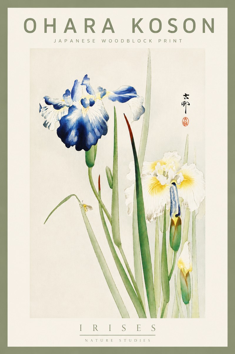 Ohara Koson Irises II No5 - Póster
