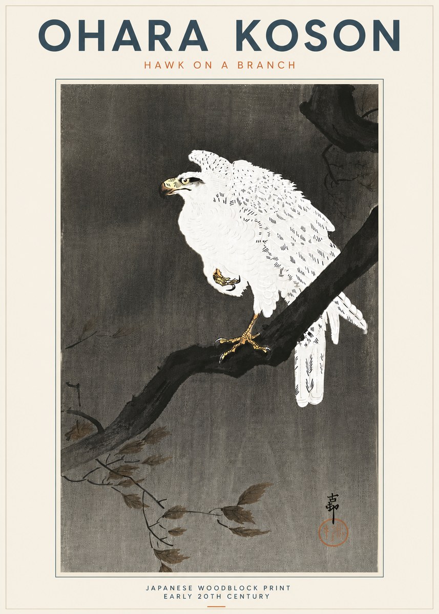 Ohara Koson Hawk on a Branch II No5 - Póster