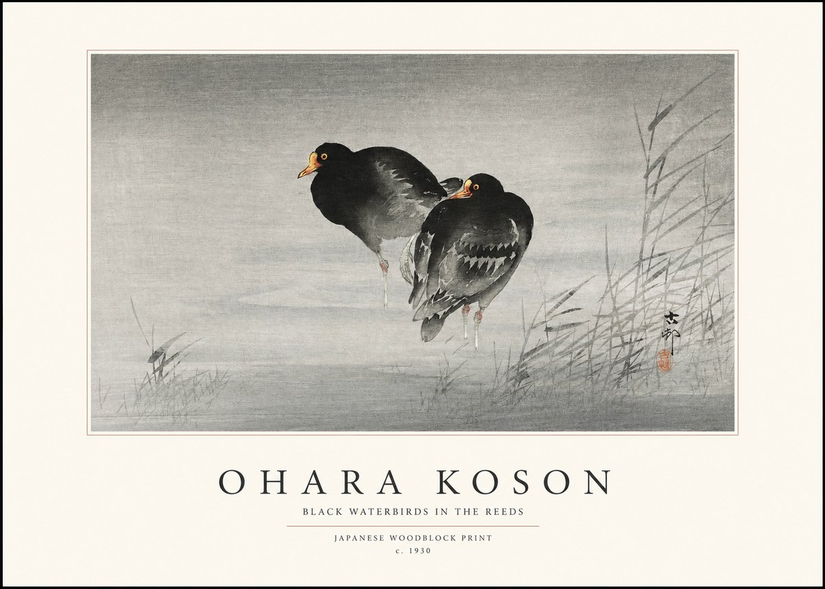Ohara Koson Black Waterbirds in the Reeds No1 - Póster