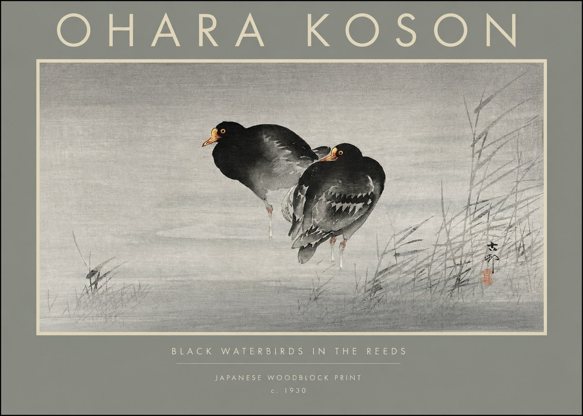 Ohara Koson Black Waterbirds in the Reeds No2 - Póster