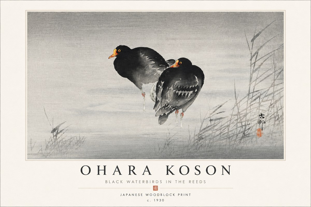 Ohara Koson Black Waterbirds in the Reeds No4 - Póster