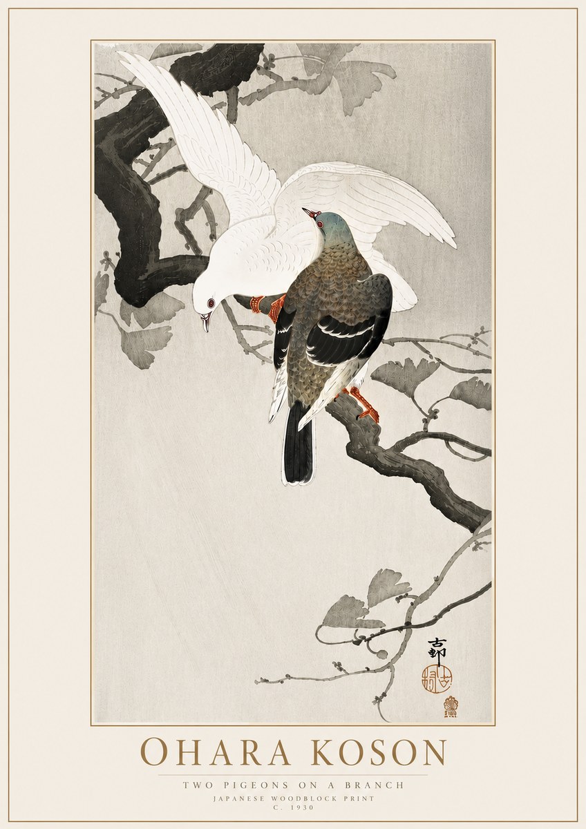 Ohara Koson Two Pigeons on a Branch No4 - Póster
