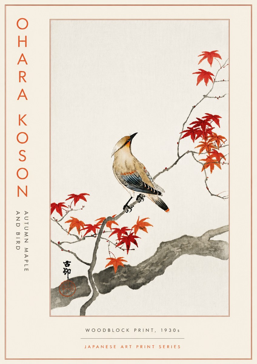 Ohara Koson Autumn Maple and Bird No5 - Póster