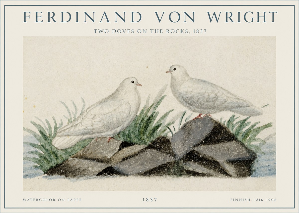 Ferdinand von Wright Two Doves on the Rocks, 1837 No1 - Póster