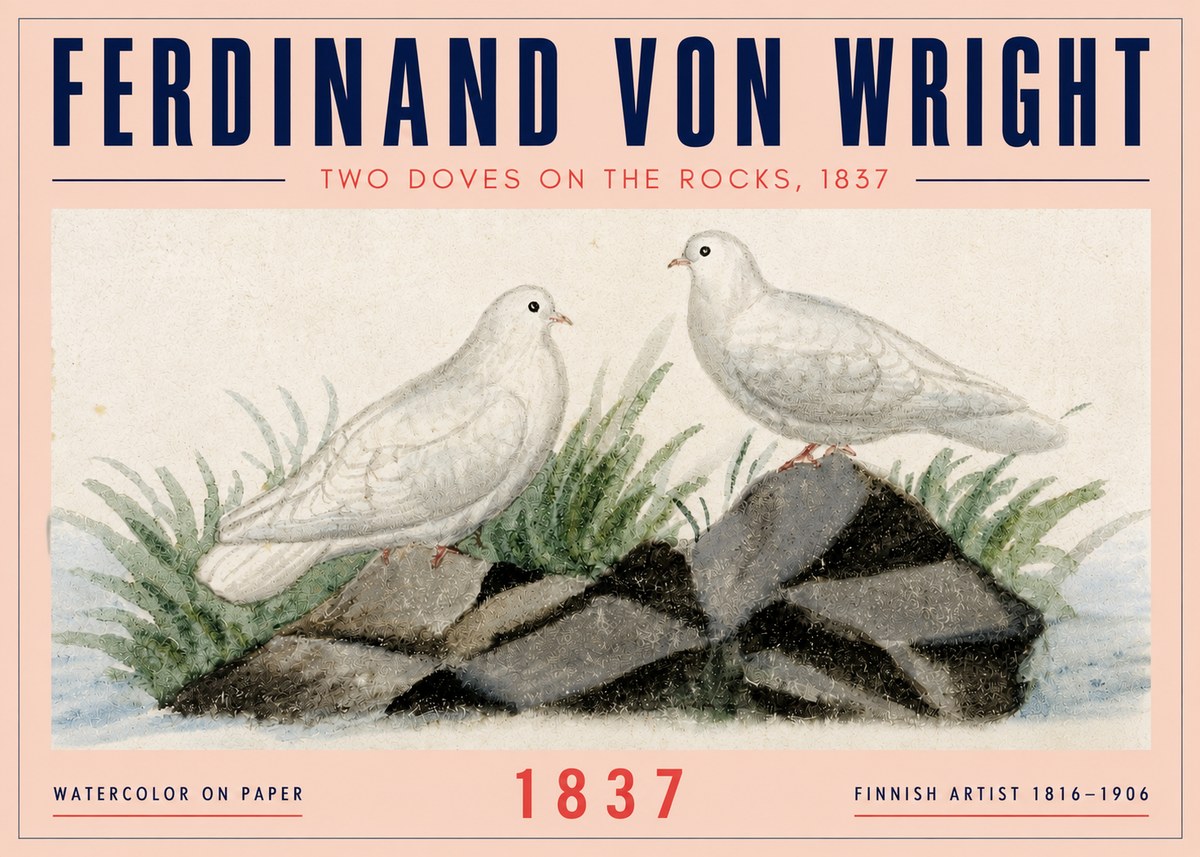 Ferdinand von Wright Two Doves on the Rocks, 1837 No4 - Póster