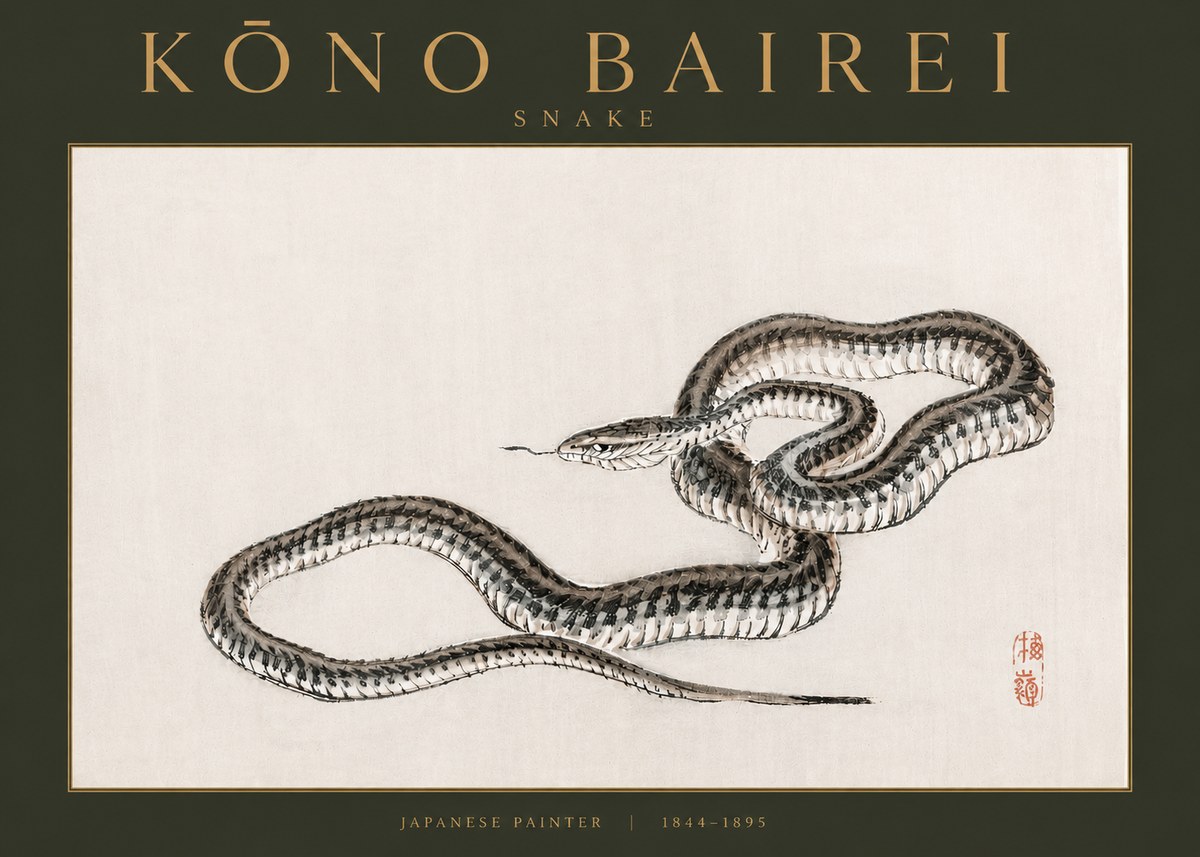 Kōno Bairei Snake No3 - Póster