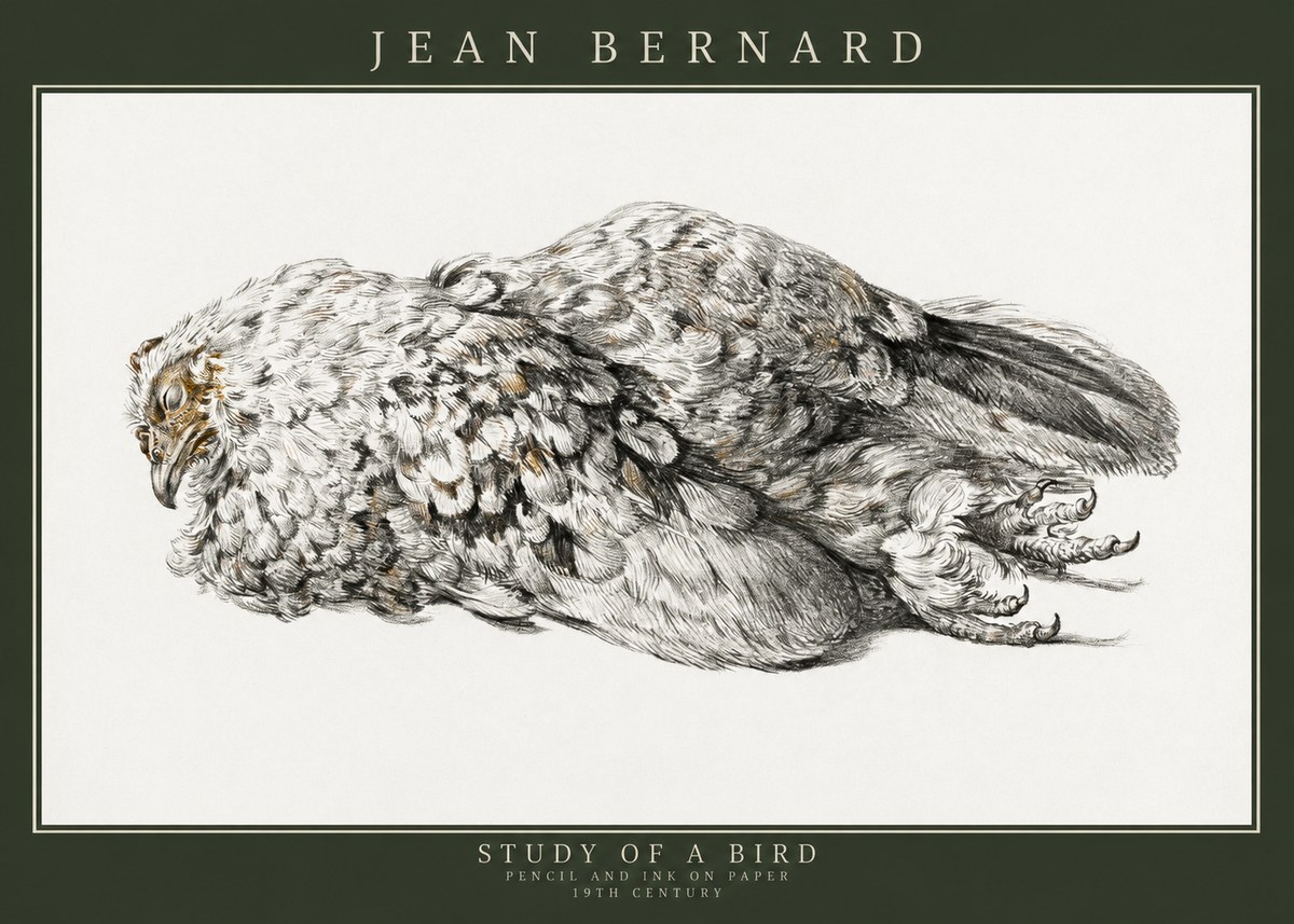 Jean Bernard Study of a Bird I No3 - Póster
