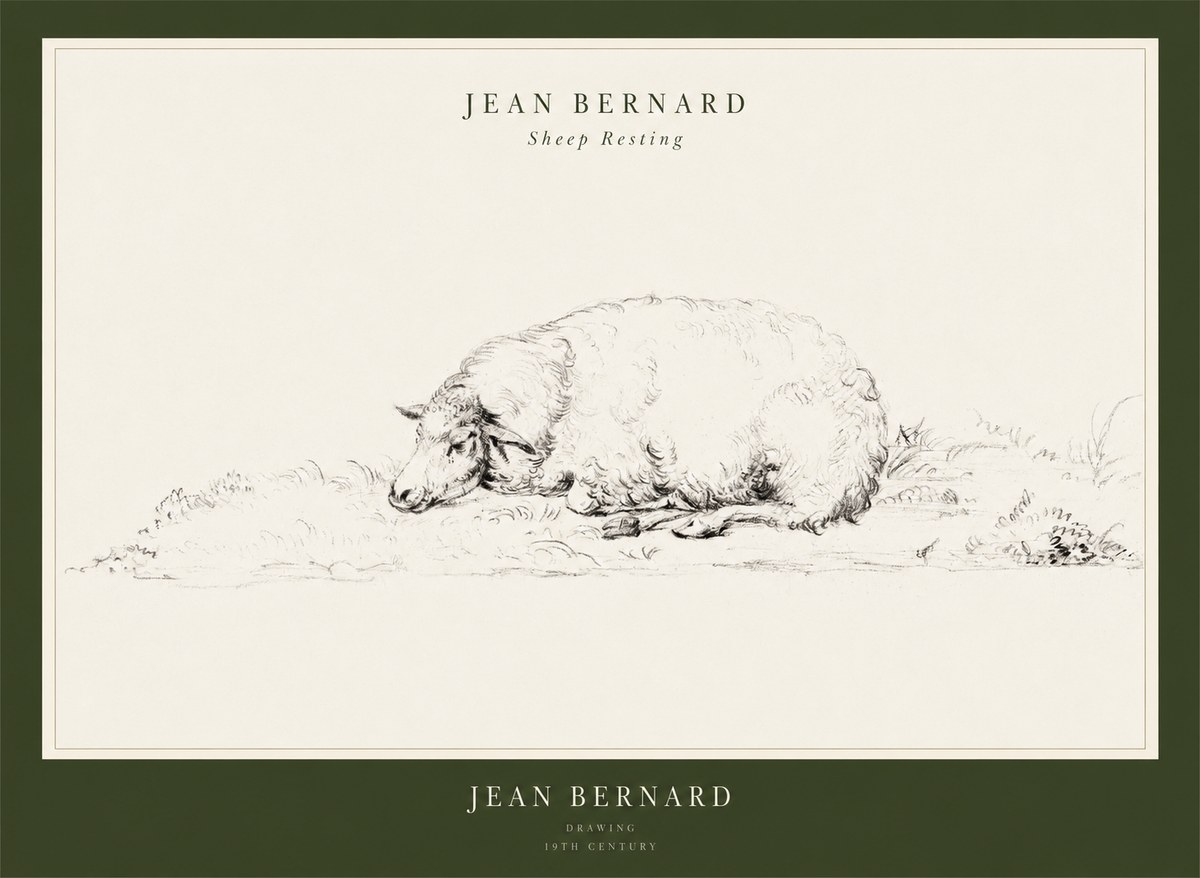 Jean Bernard Sheep Resting on the Ground No3 - Póster