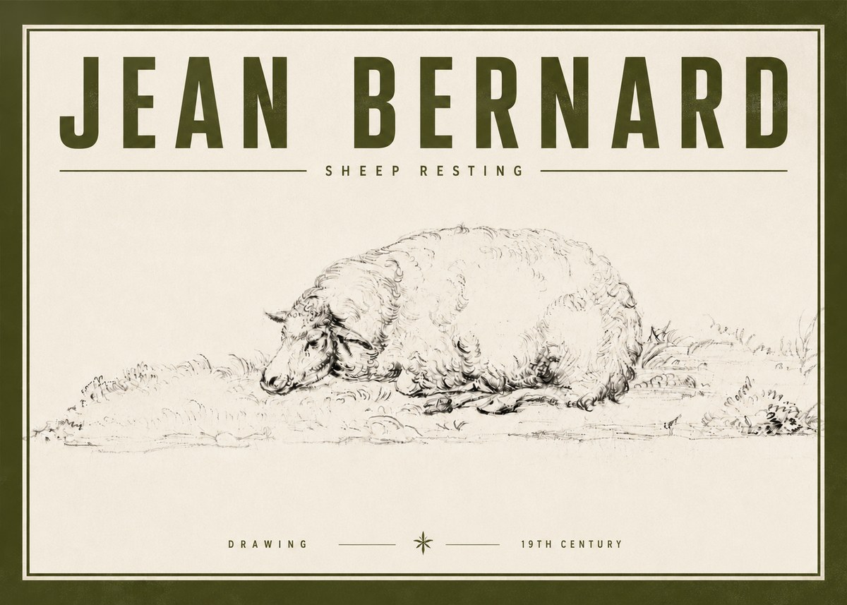 Jean Bernard Sheep Resting on the Ground No6 - Póster