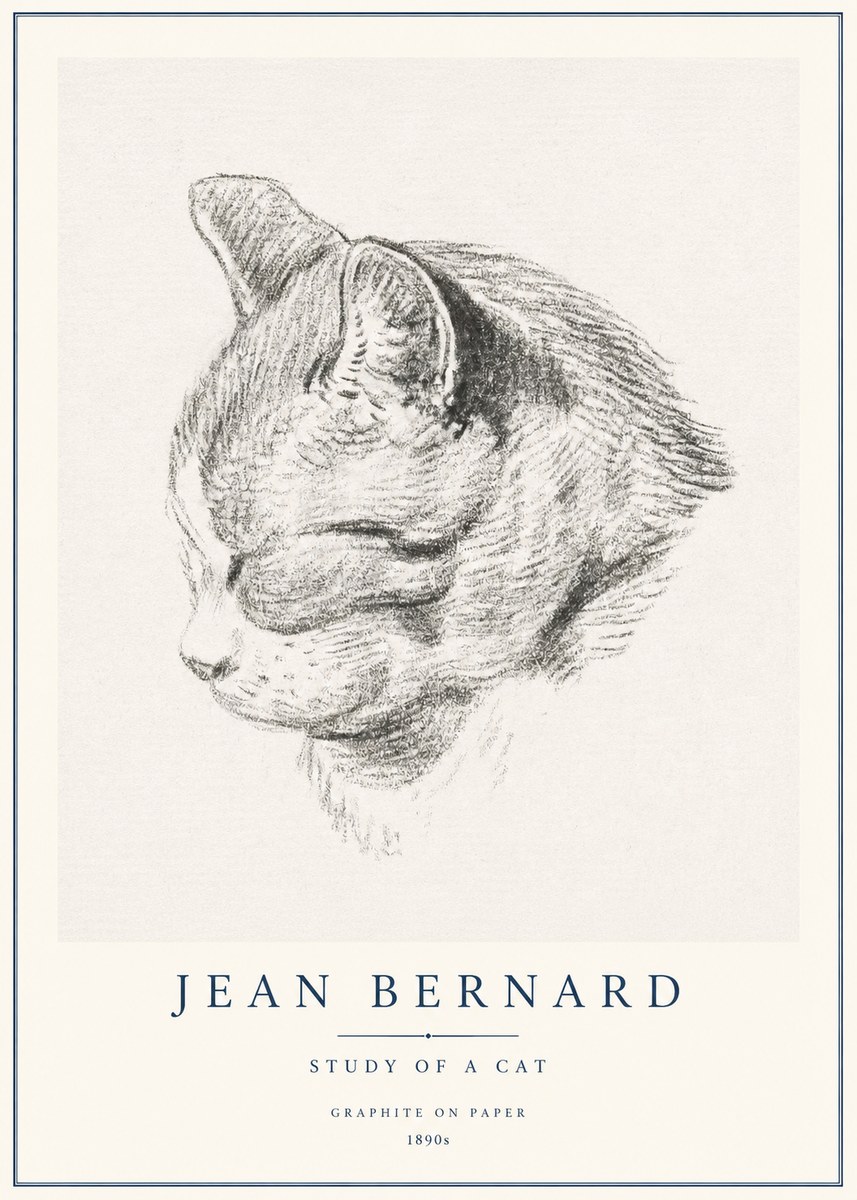 Jean Bernard Cat Study I No3 - Póster