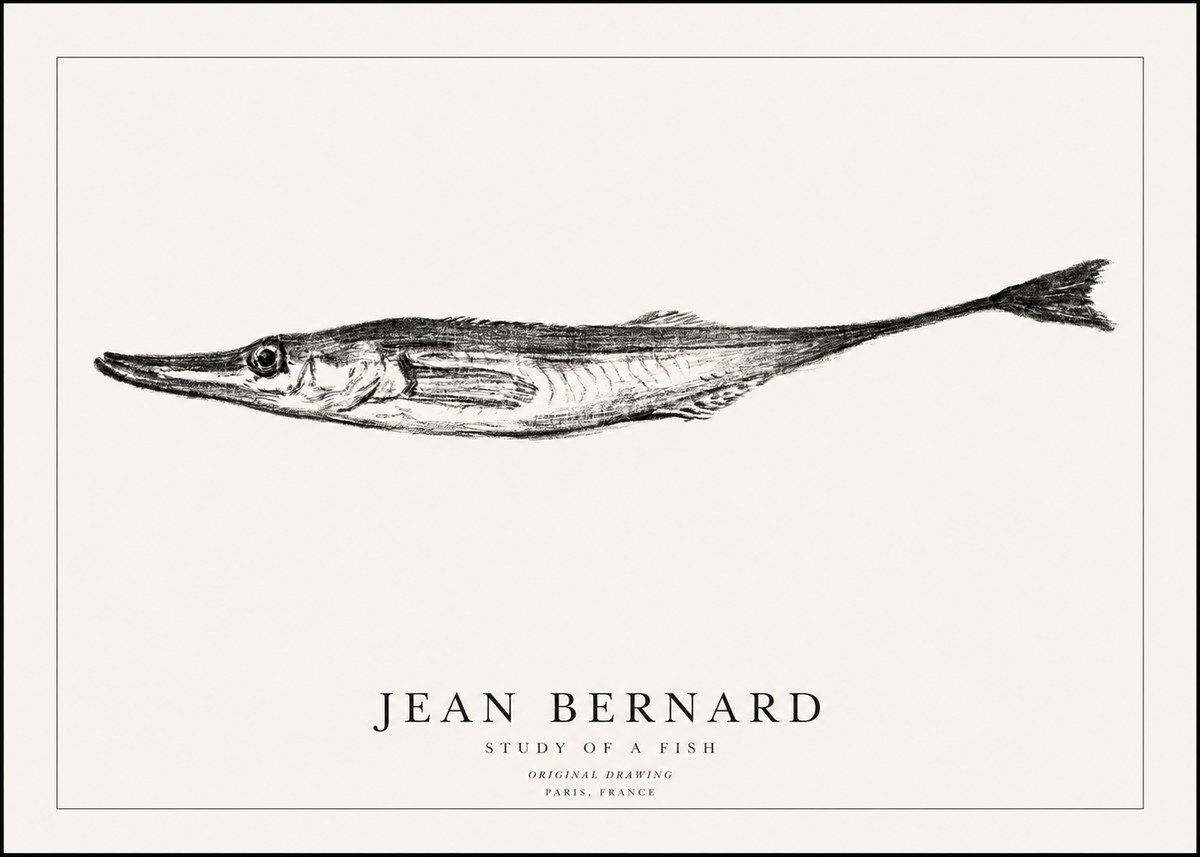 Jean Bernard Study of a Fish I No1 - Póster