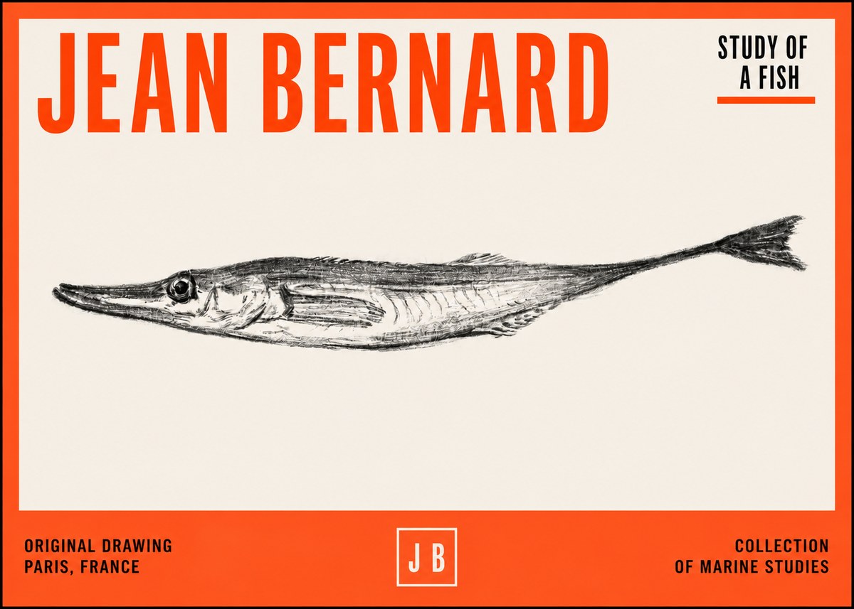 Jean Bernard Study of a Fish I No2 - Póster