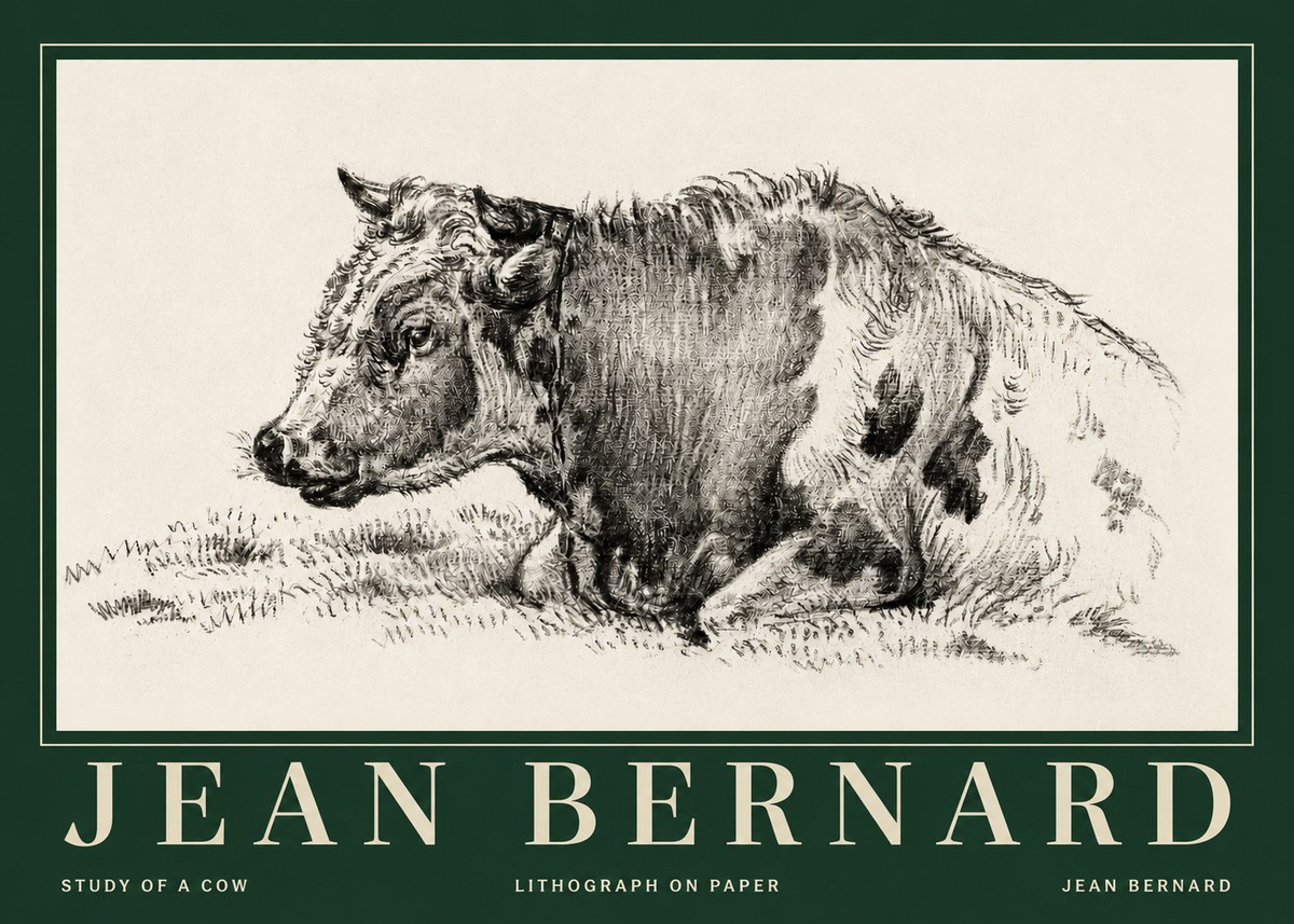 Jean Bernard Resting Cow I No5 - Póster